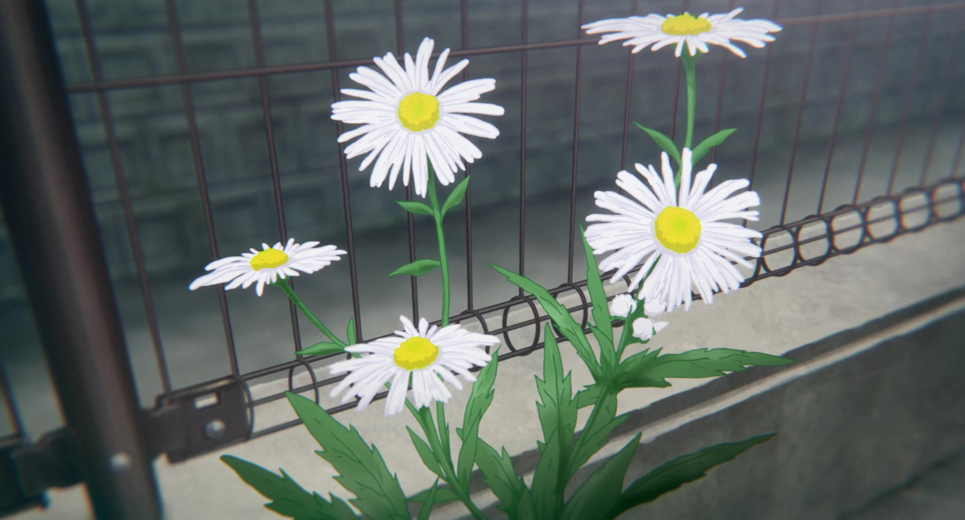 [Tsukyio Editing Resources] A Silent Voice Movie - 1021.mp4